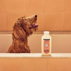 Mrs. Meyer's Clean Day dog shampoo 14 ounce bottle texture and consistency