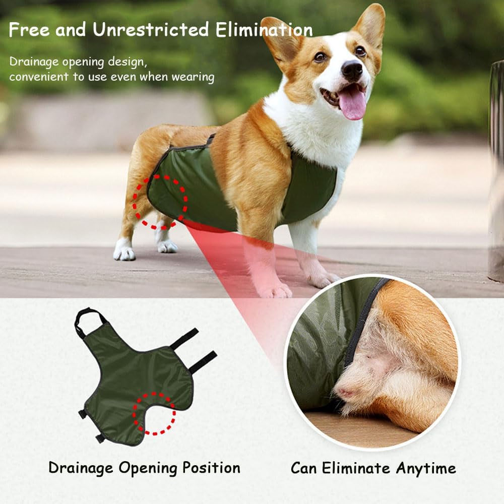 Occupiedpet waterproof pet clothes showing water resistant underbelly protection
