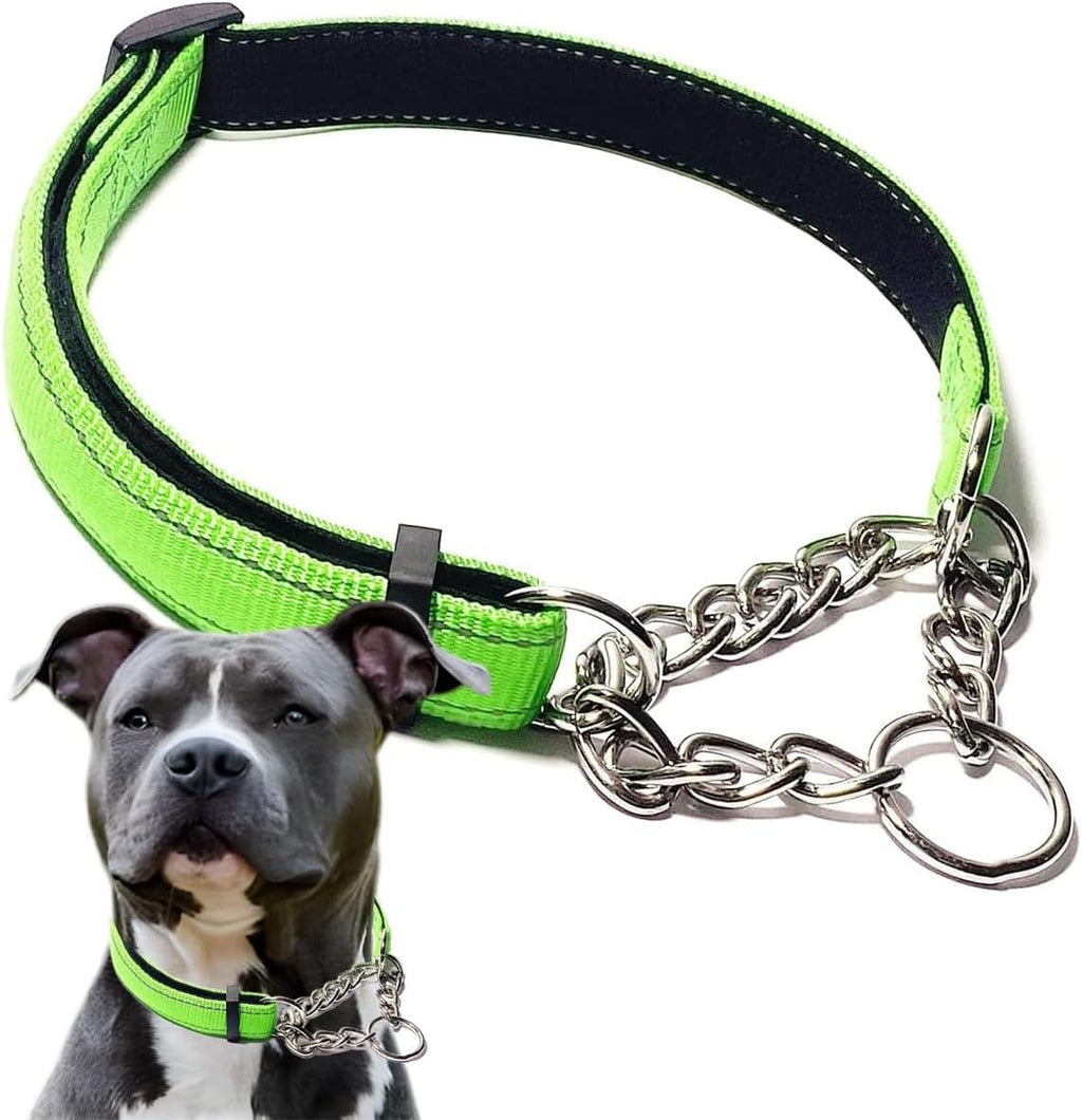 Authentic PSPORT imported pet safety collar demonstrating the secure leash attachment loop.