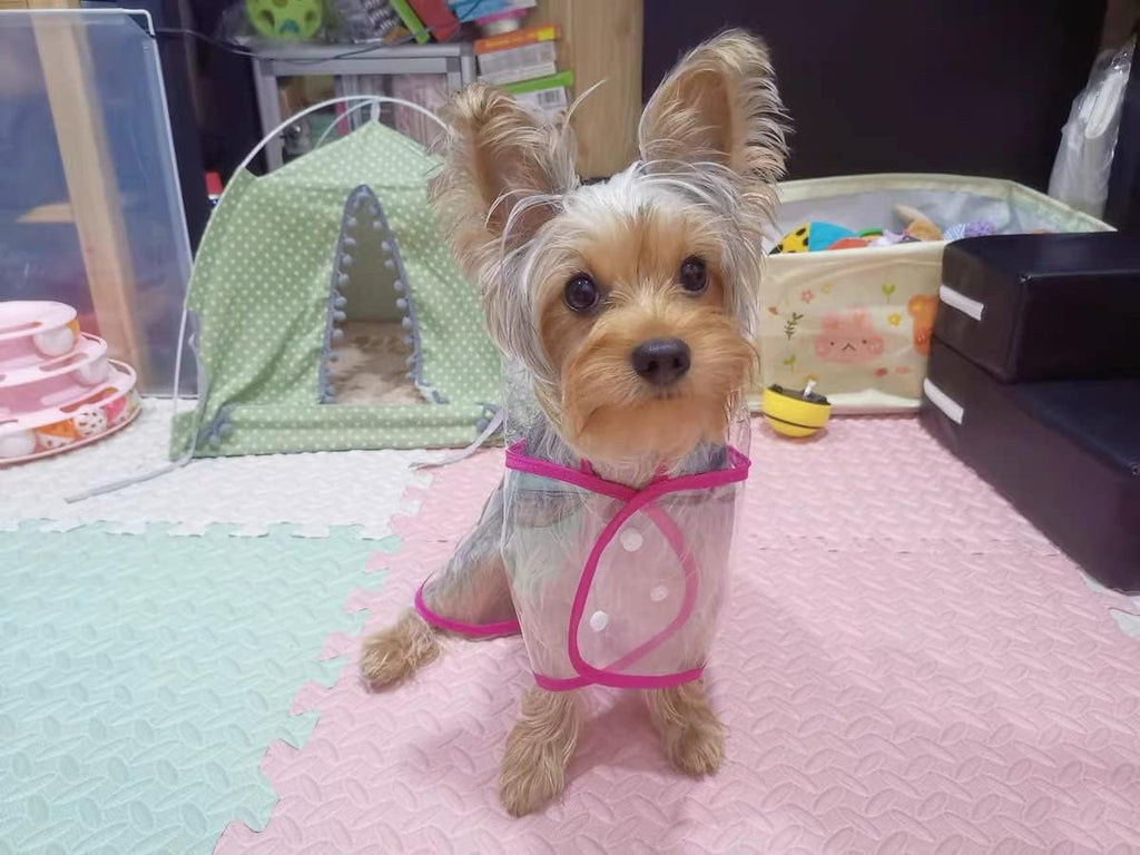 Harikaji clear puppy rain poncho with pink trim side view