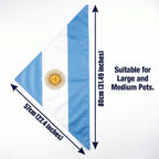 Large dog wearing patriotic Argentina flag triangle bib