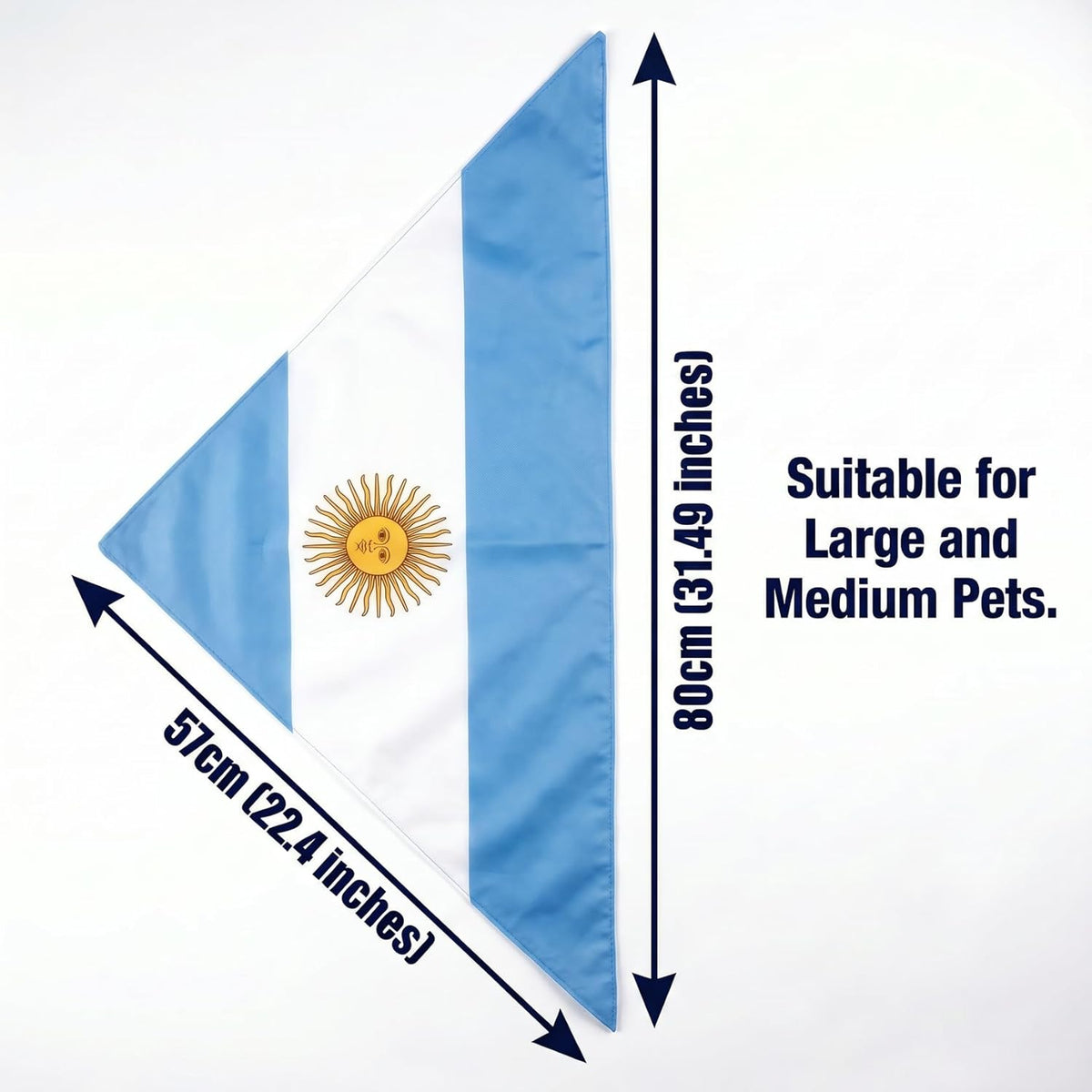 Large dog wearing patriotic Argentina flag triangle bib
