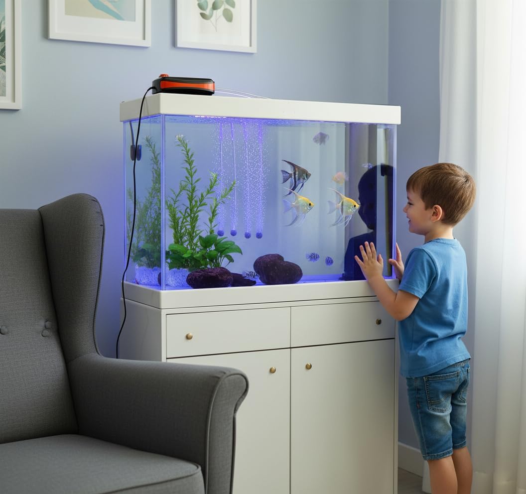 Fedour oxygen pump connected to aquarium setup