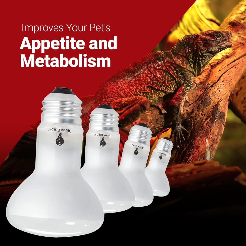 Reptile enclosure setup showcasing the focused heat zone provided by the daylight bulb