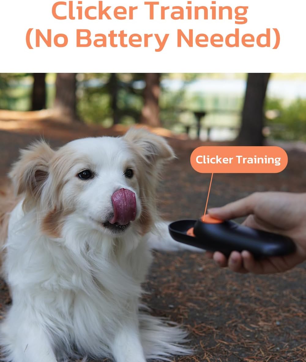Clink Design portable dog behavior clicker with built-in sliding treat dispenser close up