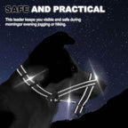 Adjustable nylon straps on Wintchuk dog head halter
