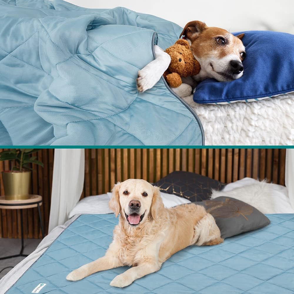 Reversible lightweight pet throw bed cover spread across a living room sofa.