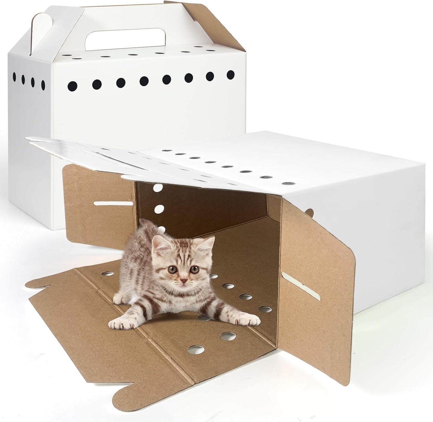 Disposable Cardboard Pet Carrier for Small Animals-12 Pack - Image 3