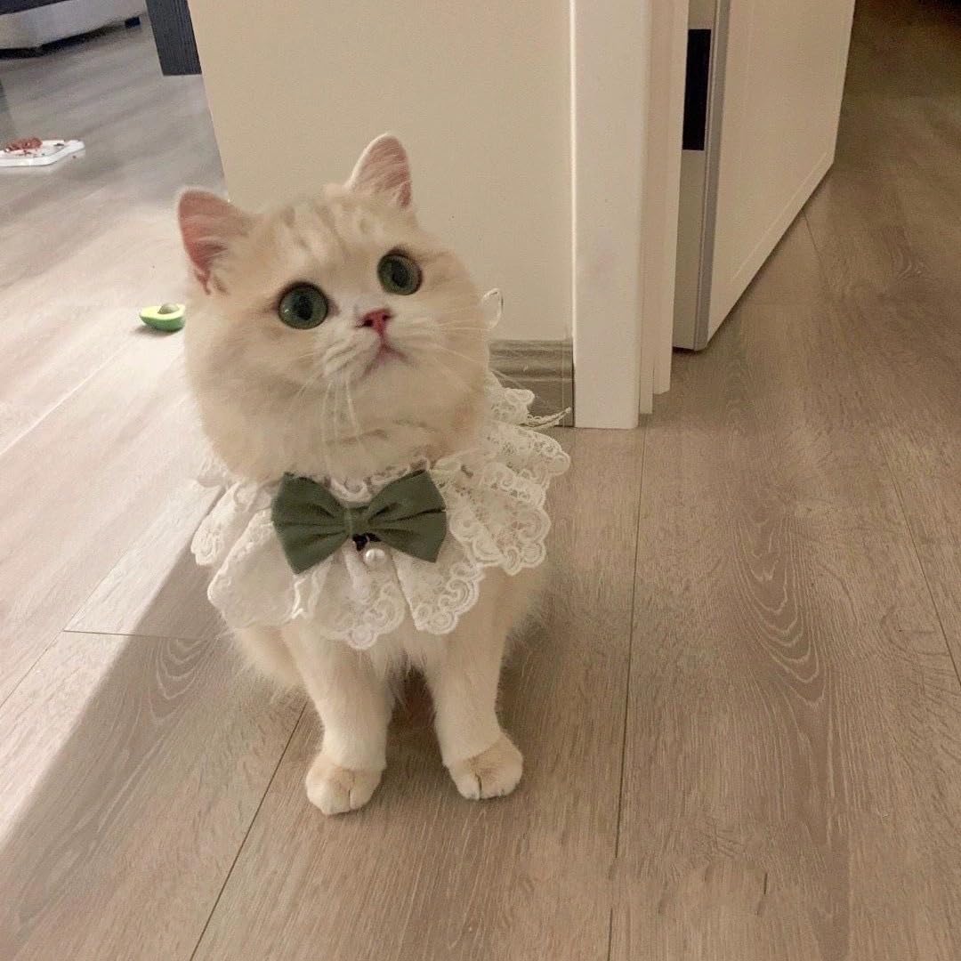 Jatmira pet collar with detachable bow tie and bell