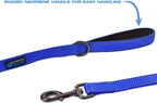 Max and Neo traffic dog leash highlighting reflective stitching detail