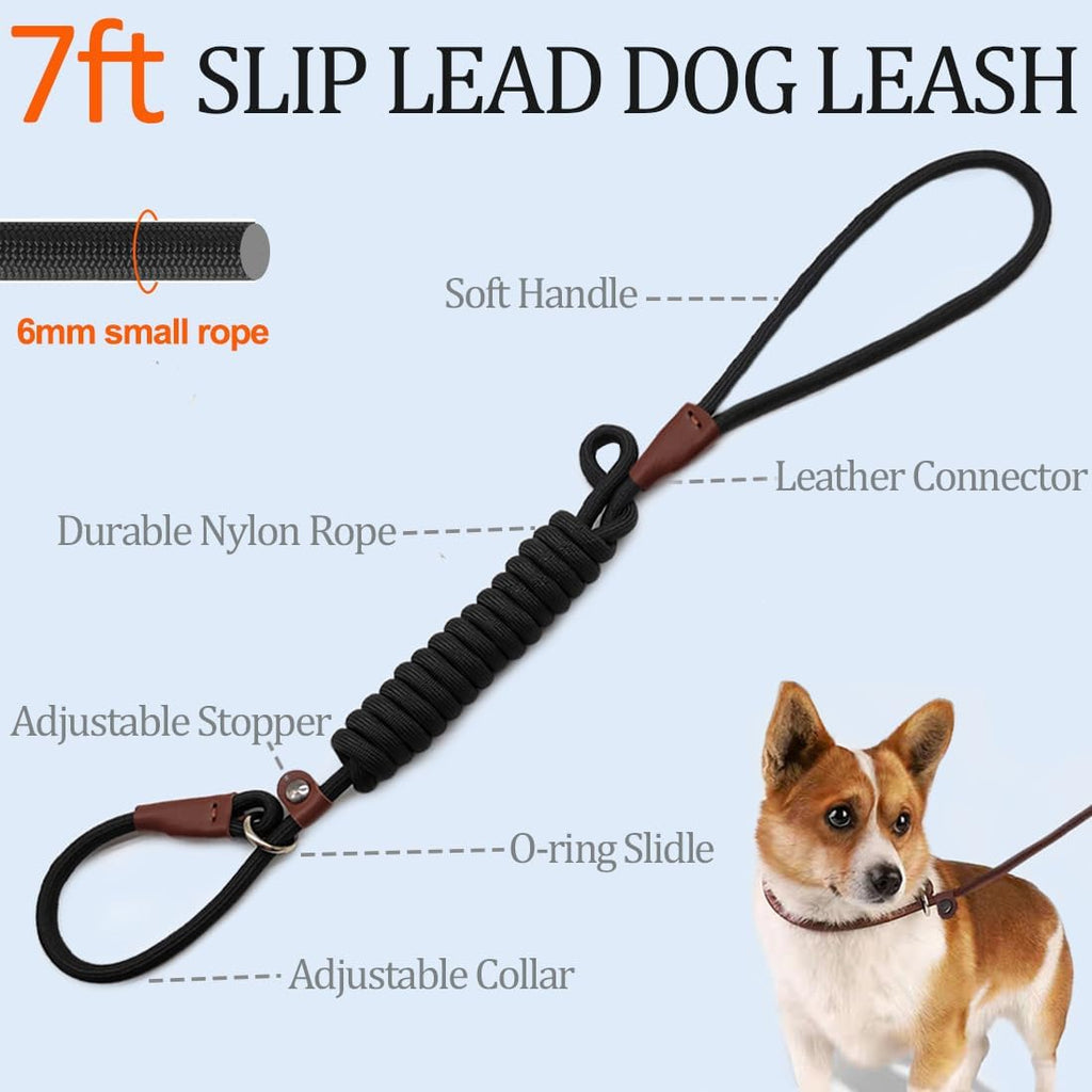 MayPaw nylon rope slip leash showing leather connection and metal ring