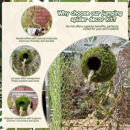 Magnetic Jumping Spider Hideout,Habitat Dcor Kit - Handmade Moss Hideout with Climbing Rope,Hemp Rope Bridge,2Pcs Climbing Web& Loose Moss,Fun Enclosure Accessories for Climbing & Hiding (4.5cm) - Image 7