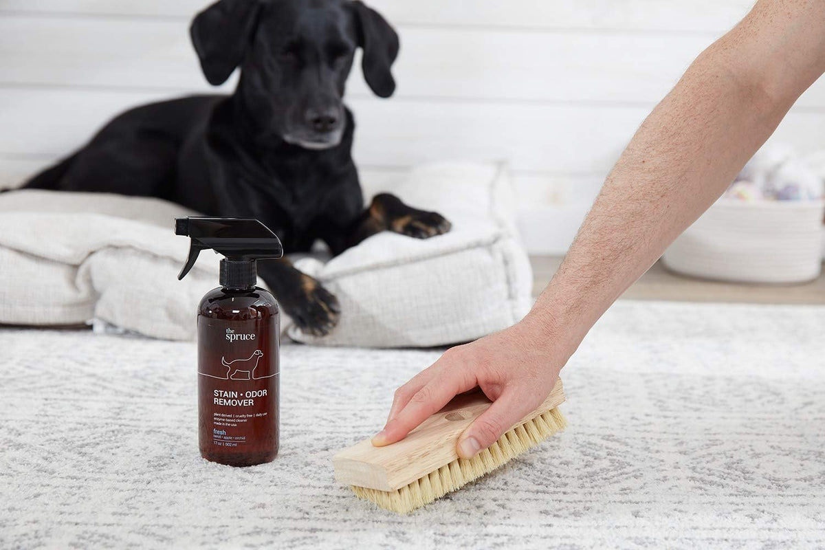 The Spruce Pet Stain And Odor Remover application on hardwood flooring.