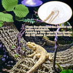 Bearded dragon resting on a seagrass climbing lounger