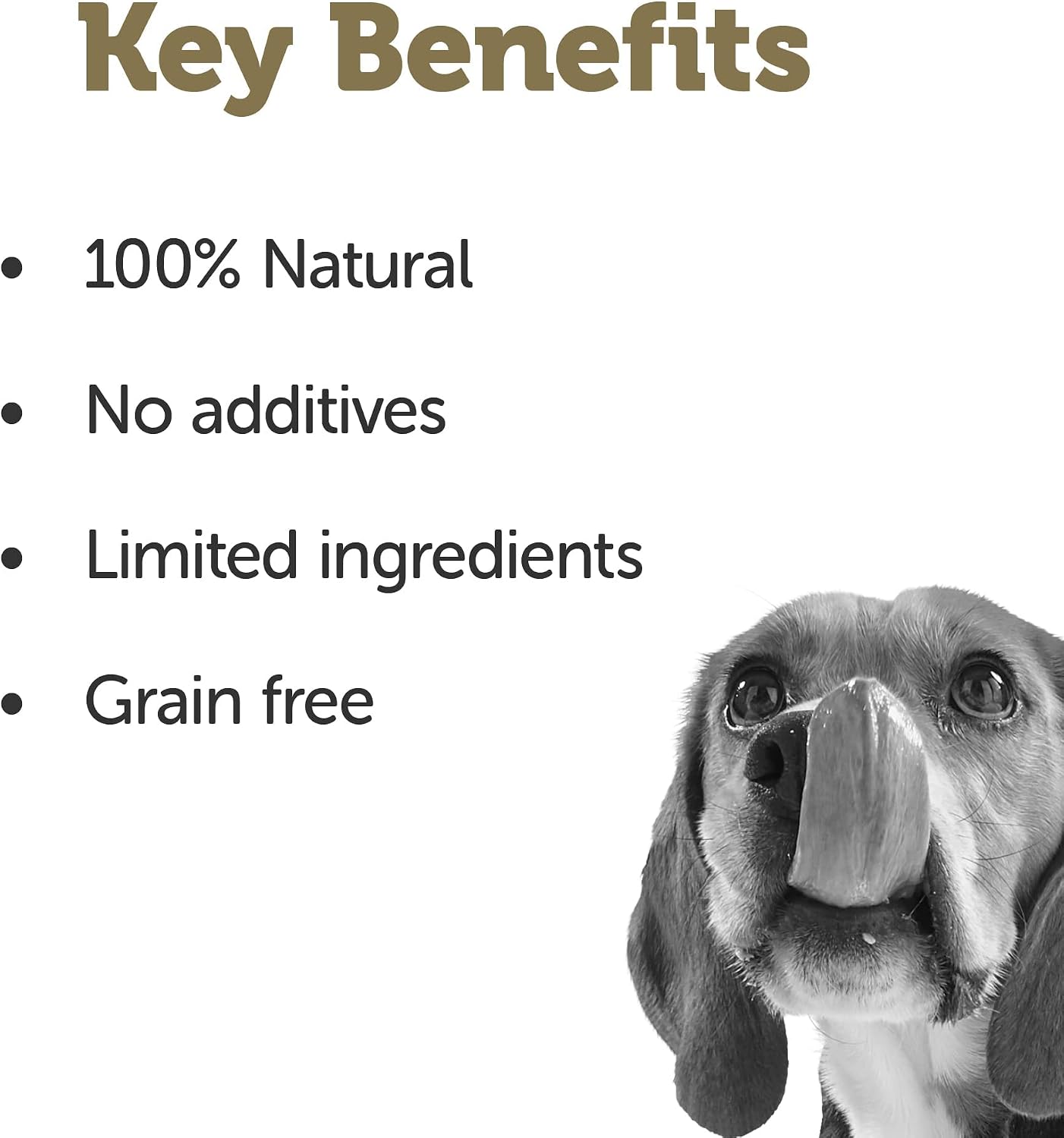 Natural beef and vegetable dog food ingredients visual
