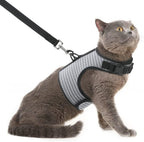PUPTECK Soft Mesh Cat Vest Harness and Leash Set Puppy Padded Pet Harnesses Escape Proof for Cats Small Dogs (X-Large, Lake Blue) - Image 9
