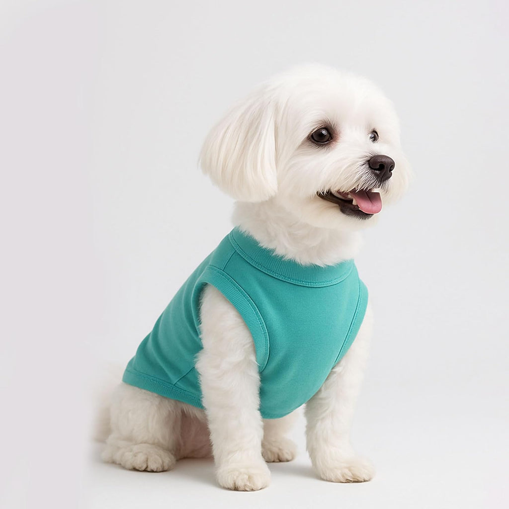 Premium imported small dog shirts for male and female puppies.