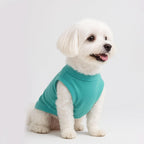 Premium imported small dog shirts for male and female puppies.
