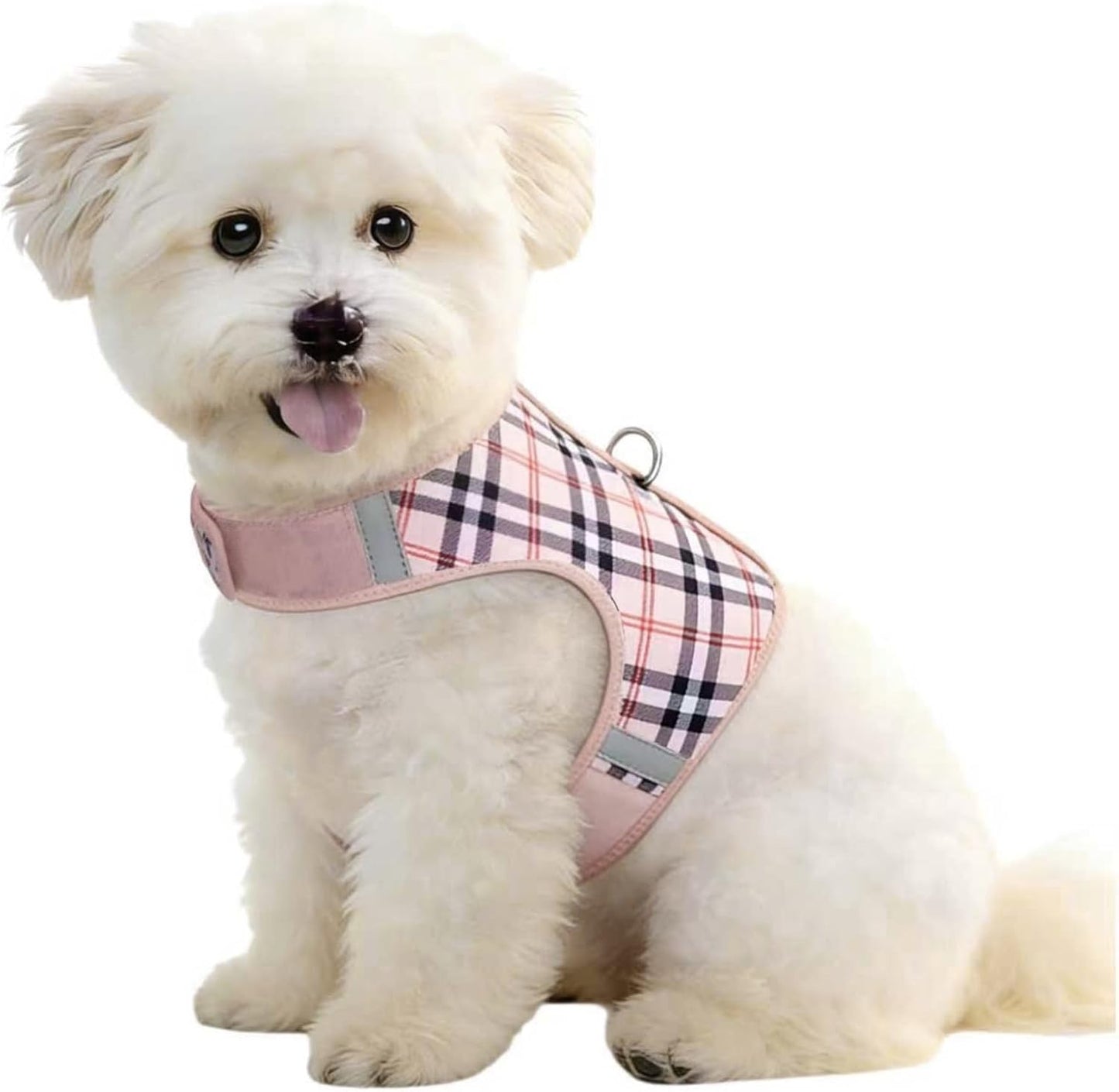 Dog Harness for Puppy - Adjustable Reflective Easy Put On Soft Mesh Vest for Small Dogs with 2 Patches (MARRS Green,XXS) - Image 15