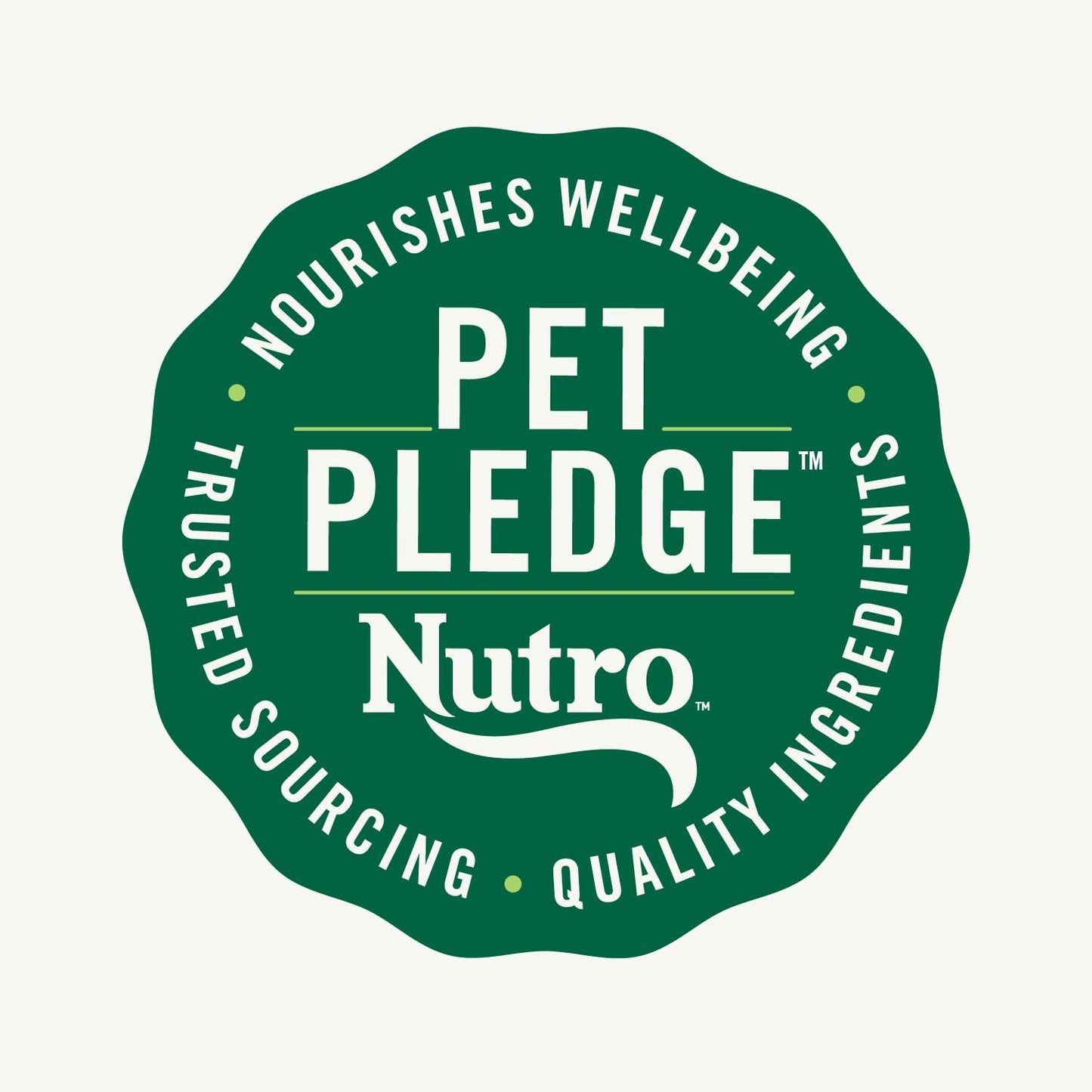 Nutro Crunchy Dog Treats with Real Mixed Berries, Training Treats for Dogs, 16 oz. Bag - Image 11