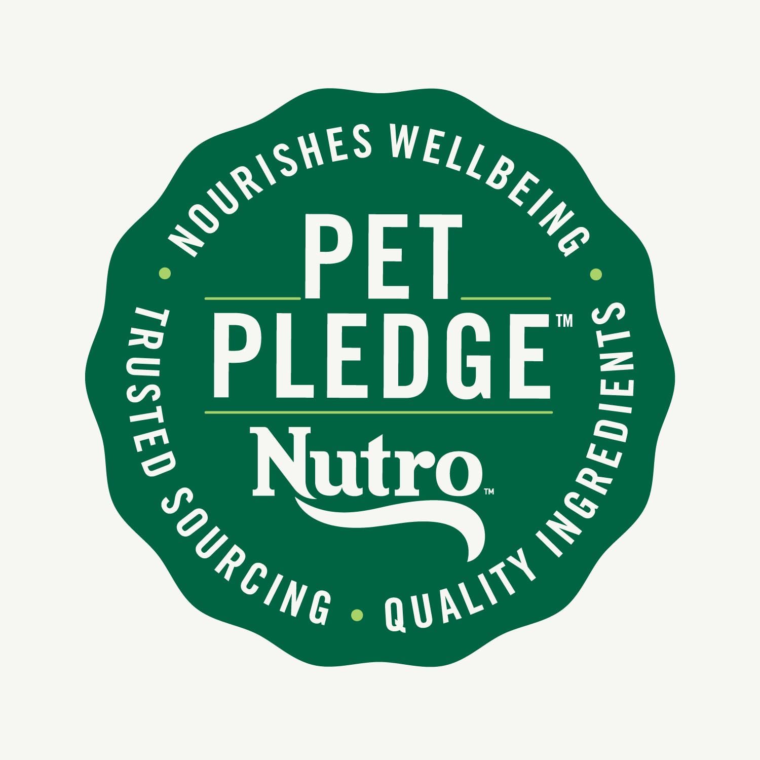 Nutro Crunchy Dog Treats with Real Mixed Berries, Training Treats for Dogs, 16 oz. Bag - Image 11
