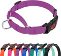 Kidding Pets waterproof martingale dog collar purple front view