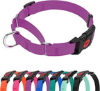Kidding Pets waterproof martingale dog collar purple front view