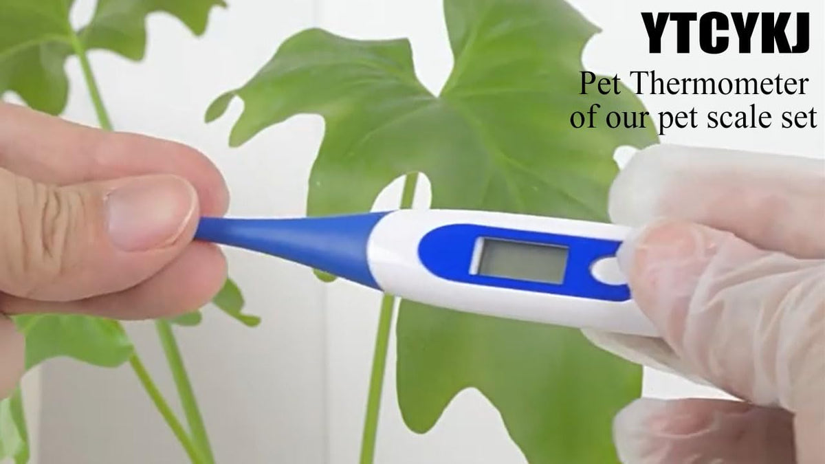 Newborn dog and cat scale tray showing safe curved edge design