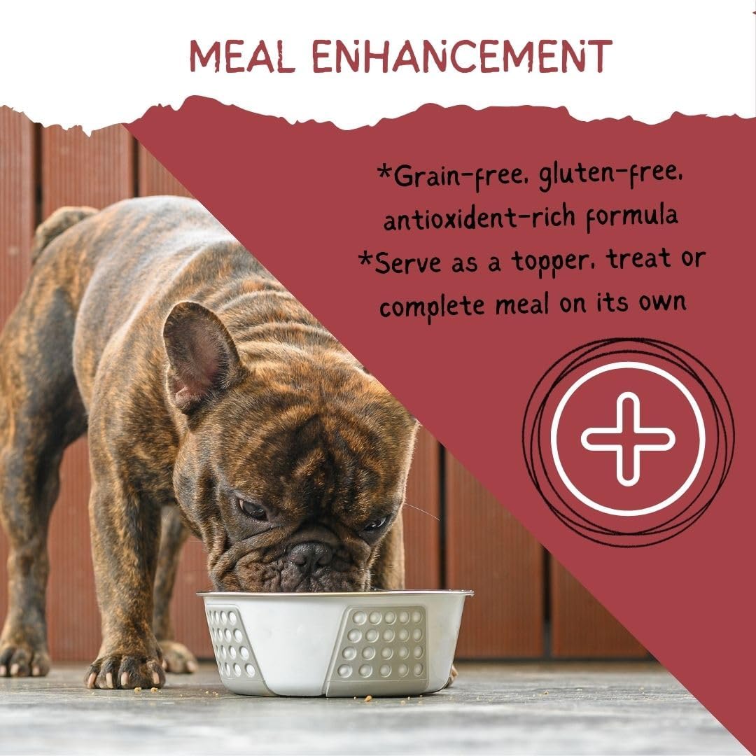 USA imported high protein healthy pet treats for whole body wellness