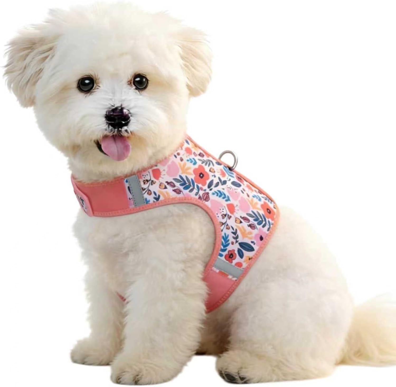 Dog Harness for Puppy - Adjustable Reflective Easy Put On Soft Mesh Vest for Small Dogs with 2 Patches (MARRS Green,XXS) - Image 11