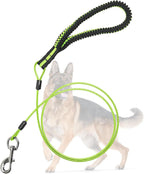 Packaging view of the authentic USA imported Mi Metty heavy duty dog leash.