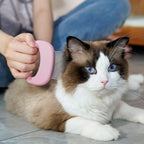 Ameliade authentic USA imported pet grooming brush packaging and product view