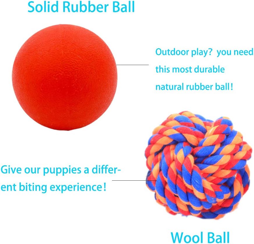 Squeaky rubber ball toy for puppy enrichment