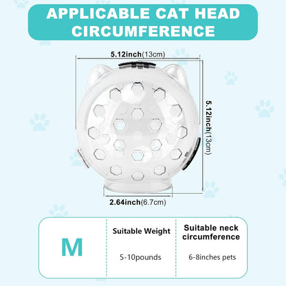 Cat wearing Axrivonte transparent space hood muzzle