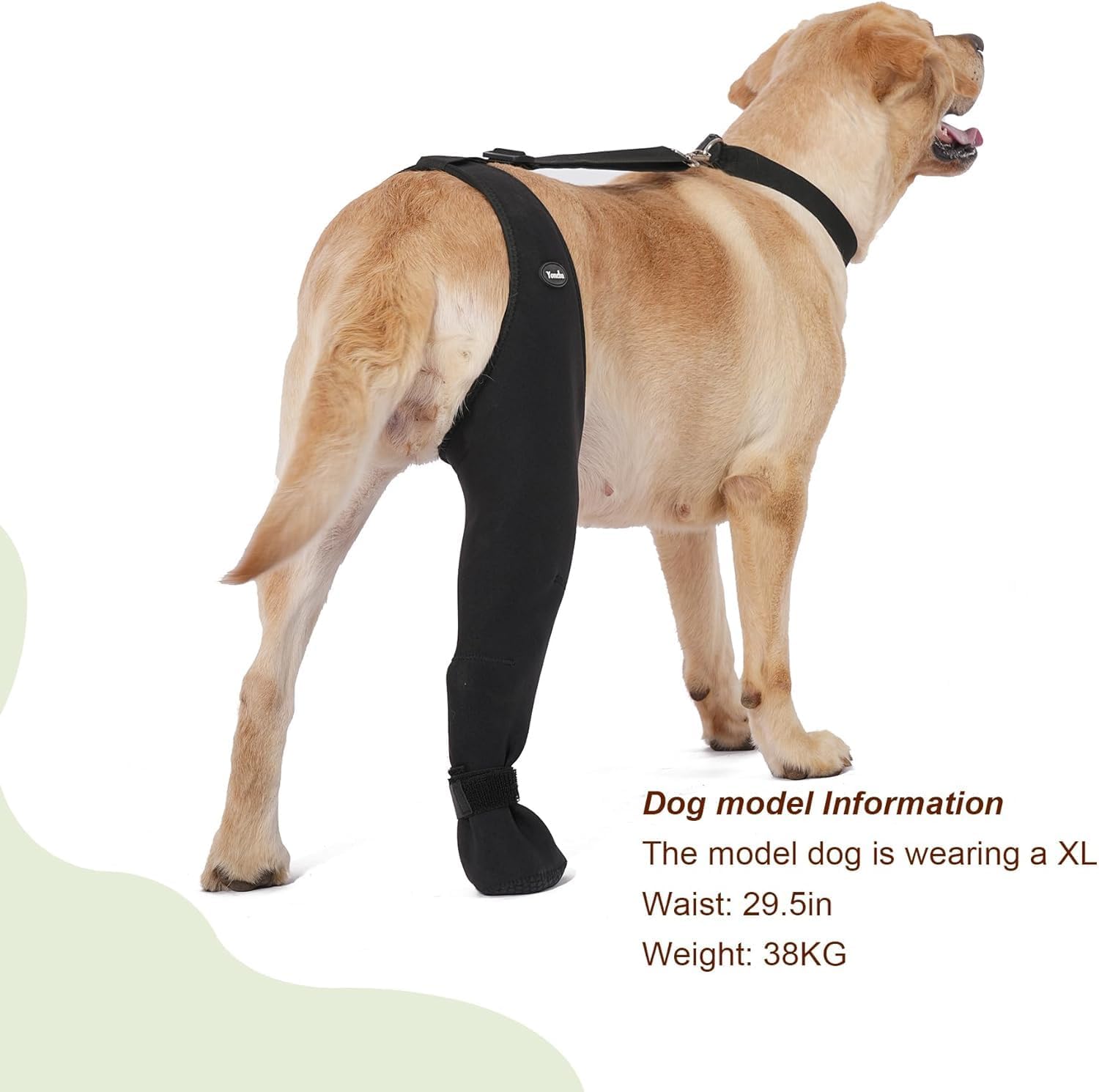 Secure fit Yoneba recovery gear for large dogs