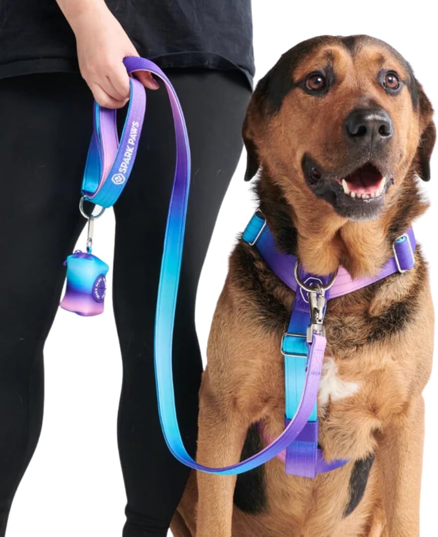 Purple and blue gradient aesthetic dog leash with padded neoprene handle for large breeds.
