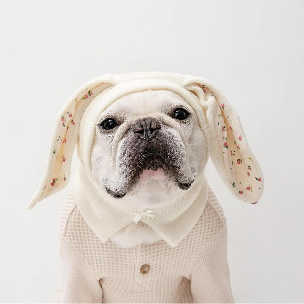 Detailed texture of knitted quiet ears for pets