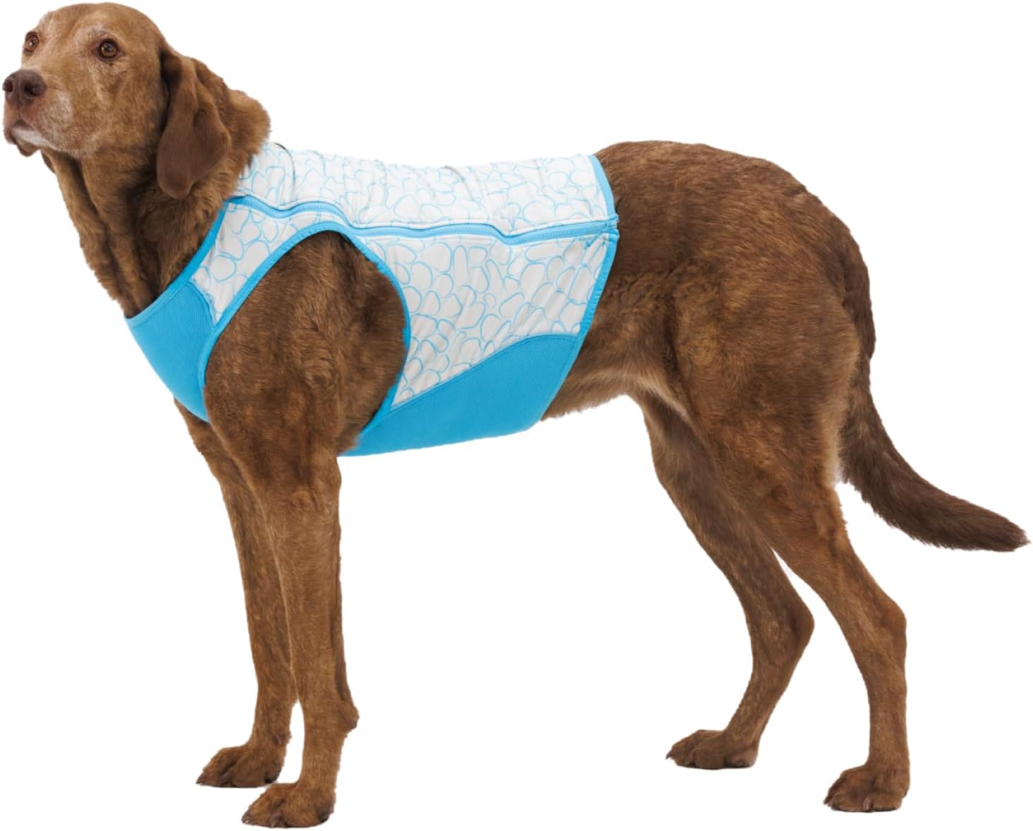 Authentic USA imported dog cooling jacket being soaked in water for activation
