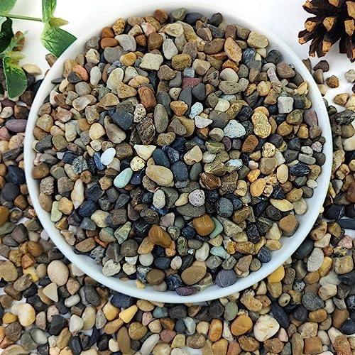 Close up of 1/4 inch multicolored aquarium pebbles for fish tanks