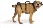 Help 'Em Up(R) - Dog Lift Harness Adjustable Lifting Harness for Dogs Full Body Support, Rear Leg Support (Conventional, Medium, 45-80 lbs) - Image 8