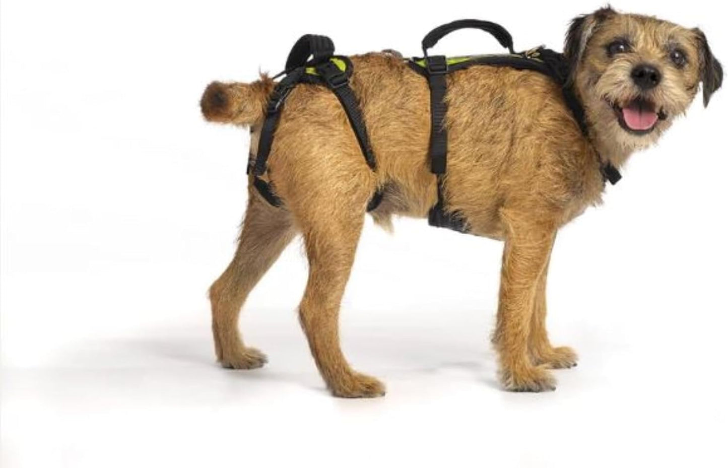 Help 'Em Up(R) - Dog Lift Harness Adjustable Lifting Harness for Dogs Full Body Support, Rear Leg Support (Conventional, Medium, 45-80 lbs) - Image 8