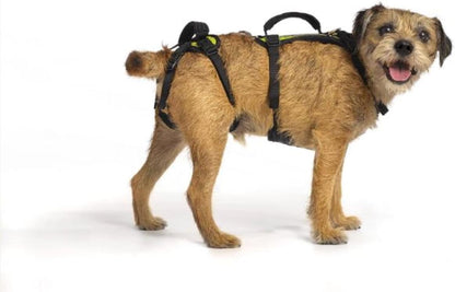 Help 'Em Up(R) - Dog Lift Harness Adjustable Lifting Harness for Dogs Full Body Support, Rear Leg Support (Conventional, Medium, 45-80 lbs) - Image 8