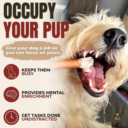 Odor free long lasting premium dental chews for small dogs and puppies