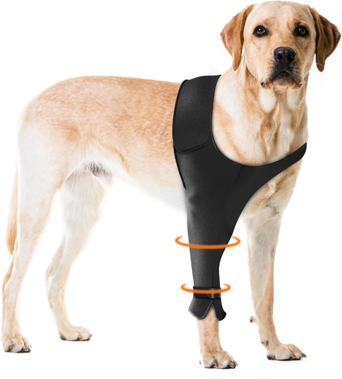 USA imported Pawfun protective dog leg garment on pet