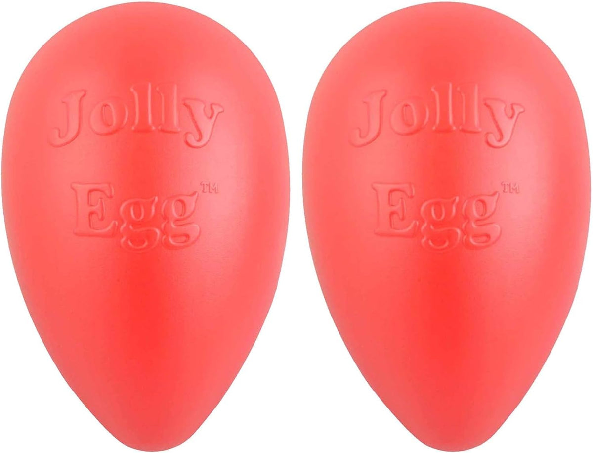 Authentic Jolly Pets Jolly Egg large size
