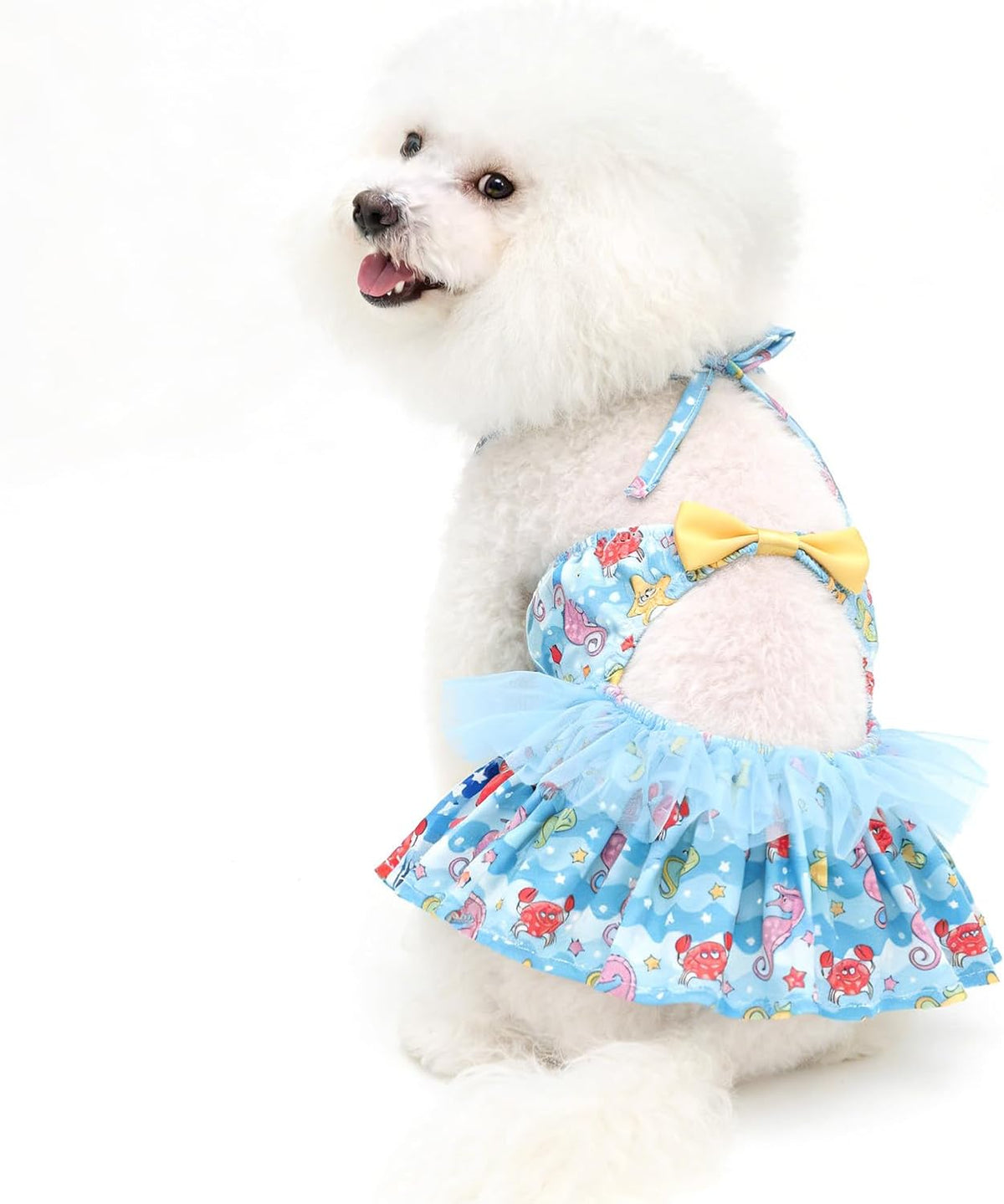 CuteBone One Piece Dog Bikini Swimsuit Dress - Puppy Bathing Suit Costume for Small Dogs - Comfortable & Stylish Pet Clothes for Summer Pool, Beach & Play LTDB11L - Image 12