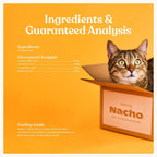 Premium high protein freeze dried poultry cat treat showing texture