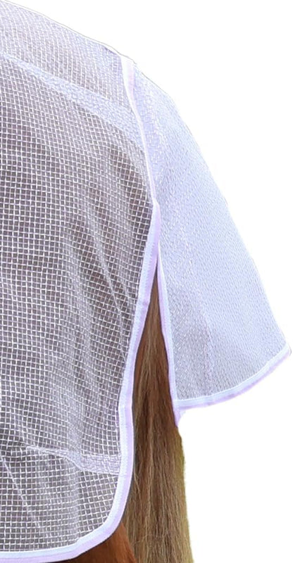Equestrian horse wearing the white and blue trimmed protective mesh barrier sheet in an outdoor pasture