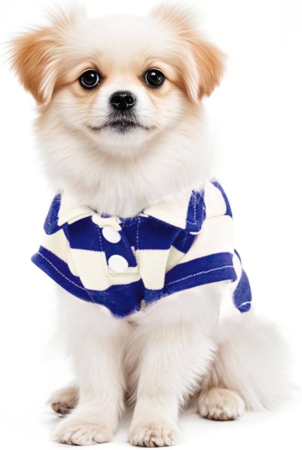 Pistha dog shirt belly cut design view