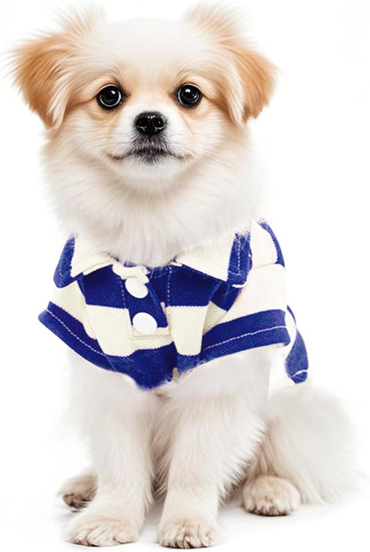 Pistha dog shirt belly cut design view